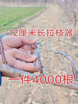 果树拉枝定型神器,果农的好帮手#好物推荐 #作品推广 #抖音助农 @抖音小助手 @DOU+小助手 @生活服务热点中心