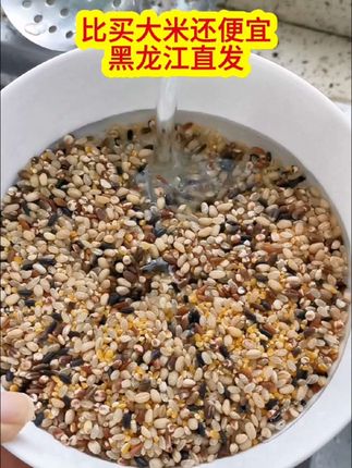 人到中年代谢慢,五谷杂粮安排起来了#七色糙米饭怎么煮