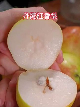 ##秋天正是吃梨的季节 #爱吃梨的小伙伴们看过来#这个丹霞红香梨真的好吃,水分足#酥脆大果,甘甜爽口,口感细腻#水果分享