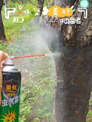 #强烈推荐 #快来看看 #每日更新