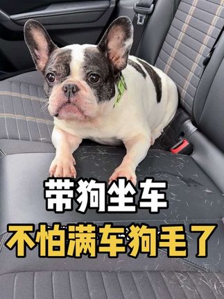 带狗坐车,再也不怕满车狗毛口水脚印了#养宠好物 #宠物车载垫 #万物可爱计划 #宠物车载座椅