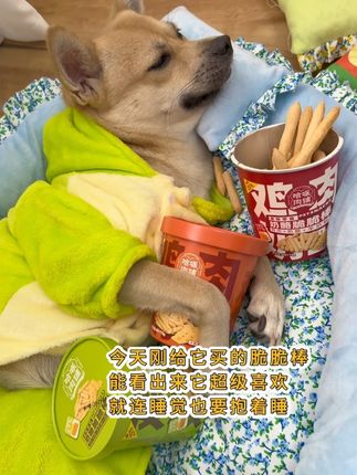 是谁家小狗睡觉也要抱着零食呀 #萌宠 #狗狗 #宠物零食 #狗狗零食 #宠物好物