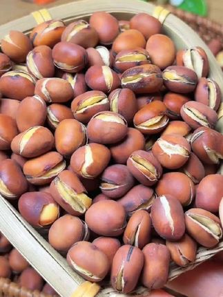 【农家铁锅炒蚕豆新货原味胡豆传统炒货零食干炒大豆正宗原味蚕豆】#零食推荐#蚕豆#粒粒精选颗颗饱满 #怀旧零食#童年味道