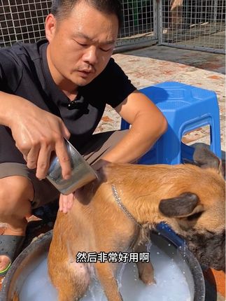 好不好用你们自己看#养狗经验分享 #马犬 #不养狗不知道养狗的乐趣