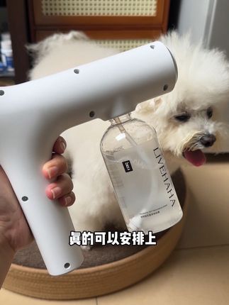 夏天养宠家庭被猫屎狗尿味困扰的一定要试试这个栗哈哈的净味喷枪,高级酒店的淡淡香气巨好闻#栗哈哈除臭喷雾 #宠物除臭喷雾 #萌宠好物