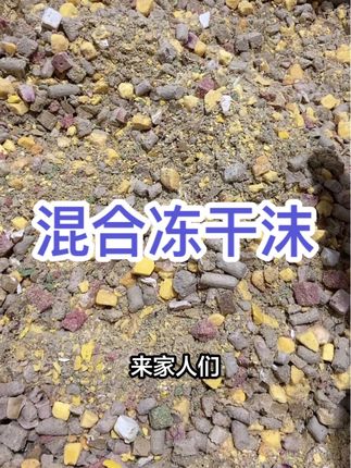 拌饭拌粮混合冻干沫来喽,小黄车下单👏😹😹#宠物食品 #拌粮神器 #混合冻干 #上热搜 @抖音小助手 @上热门🔥🔥🔥 @DOU+上热门 @DOU+小助手