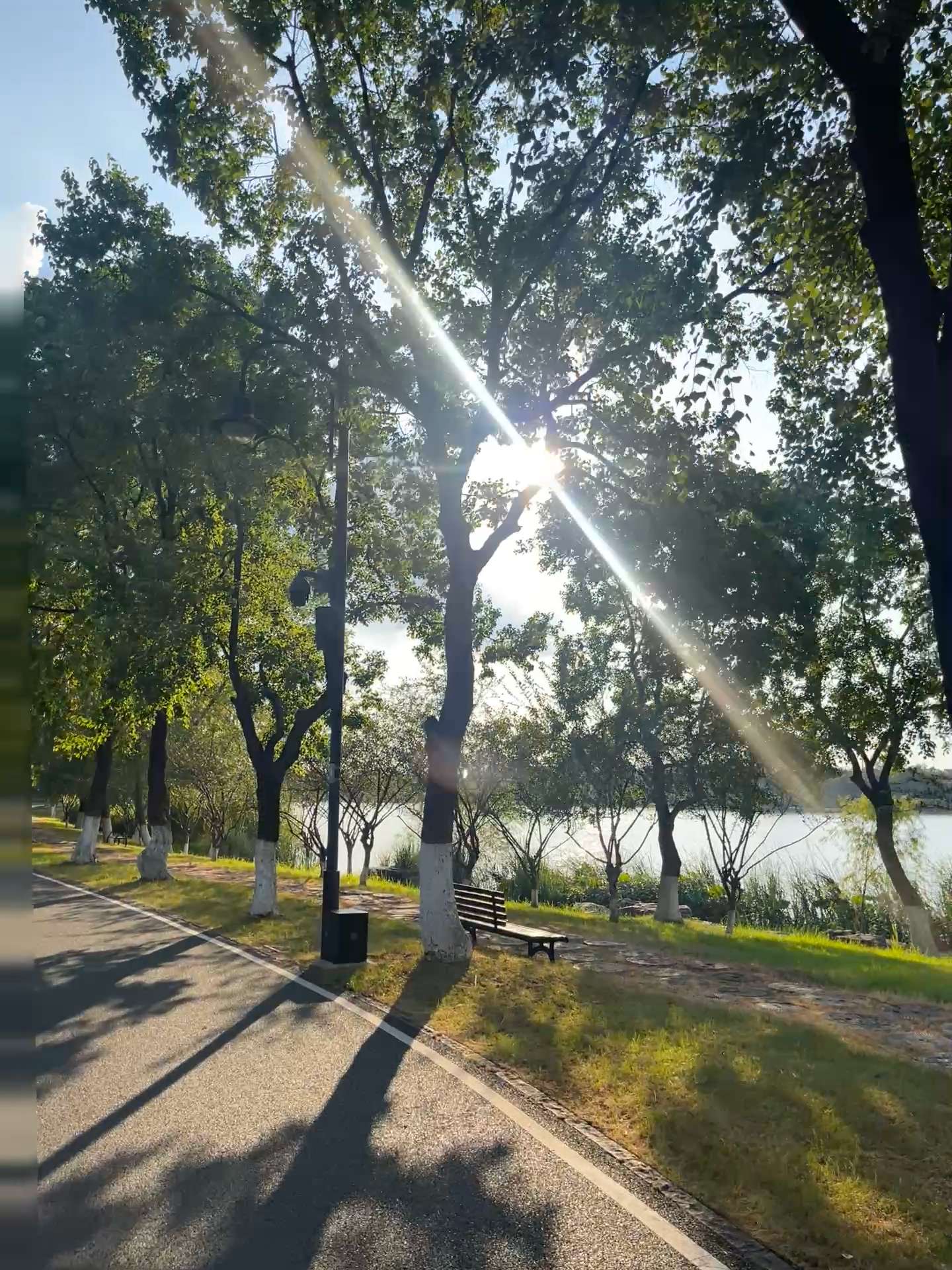 你那么好 你是最应该开心幸福的#随拍 #plog #inmyfeelings #intj #摩羯