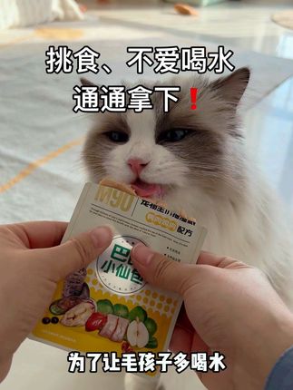 一招🔥轻松解决猫咪不爱喝水🍵#萌宠好物 #科学养宠攻略 #萌宠出道计划 #食物链小仙包#巴氏小仙包
