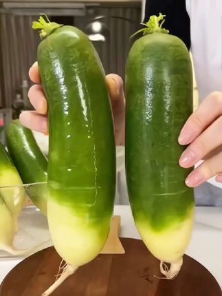 #创作灵感#山东潍坊萝卜#现挖现发#水果萝卜