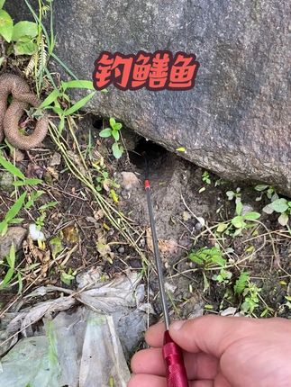 金属鳝道。#户外钓鱼 #真实户外 #鳝鱼钩#热门