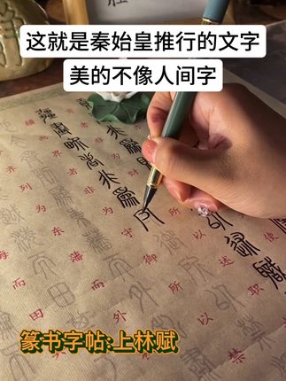 这就是秦始皇推行的文字,美的不像人间字 #上林赋#写字是一种生活#书法学习#练字控笔#毛笔字帖