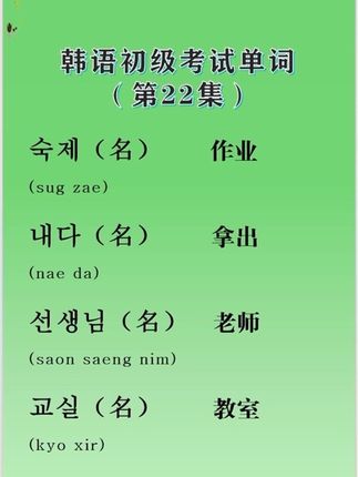 初级韩语必会单词! #韩语 #韩语学习 #韩语入门 #韩国留学