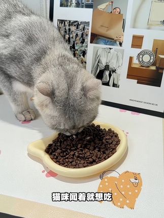 6块9到手十包猫粮,真的太香了#洛帕 #洛帕猫粮 #猫粮 #宠物零食 #猫咪