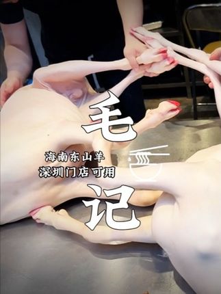 深圳好女友专门带我来吃的正宗东山羊羊肉火锅#秋冬就吃毛记海南东山羊 #靓靓泥炉炭⽕鲜⽺⾁ #烟火深圳 #寻味烟火气 #羊肉汤