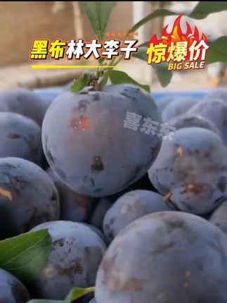 #黑布林李子 #口感特别好 #李子 #黑布林甜不甜 #超便宜超划算