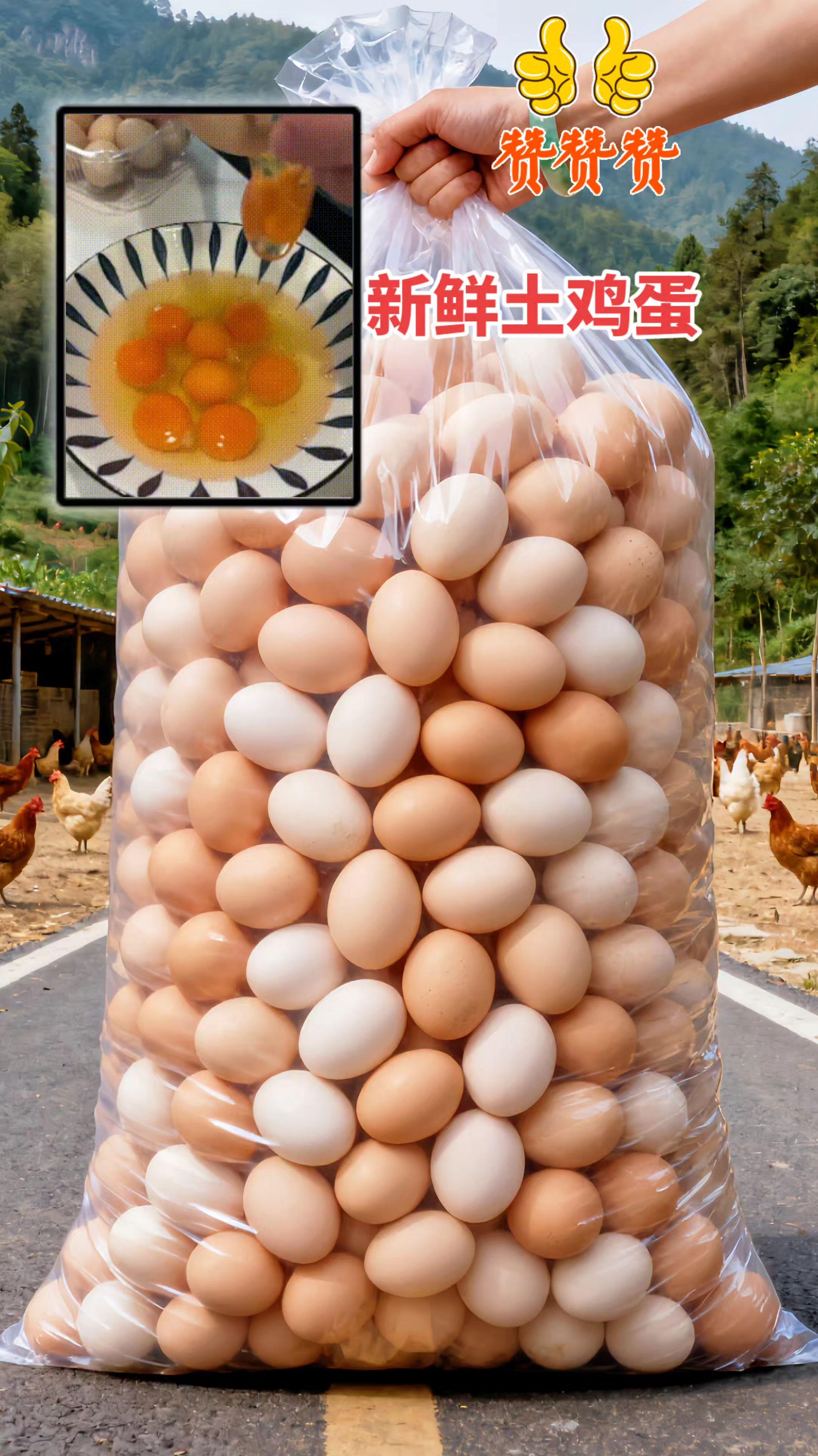 新鲜到家的土鸡蛋,这品质这价格闭眼冲。家人们还有没买到新鲜土鸡蛋的吗?快快快来~地地道道的农家林中散养土鸡蛋50枚!远离喧嚣乡村,有片自由天地,是农家土鸡的乐园!它们在山林间自在踱步,啄食虫草与谷物。每一枚鸡蛋,都是自然馈赠。轻轻磕开,浓稠蛋清裹着饱满金黄蛋黄,细闻是淡淡蛋香。水煮或烹饪,入口皆是儿时纯粹美味,每一口都满是自然生机。农家散养土鸡蛋,魅力独特。数量有限,刷到就别犹豫,趁着活动价格还在,赶紧闭眼冲~ #农家散养土鸡蛋 #口感特别好 #营养丰富 #大人小孩都爱吃 #强烈推荐
