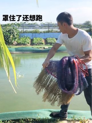 撒网捕鱼 撒网捕鱼#撒网捕鱼