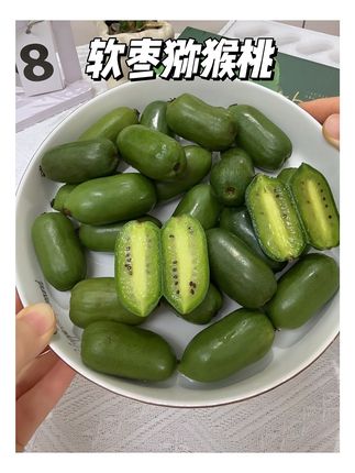 一年只能吃一季的#软枣猕猴桃 终于上市了!我女儿超爱吃!宝贝多吃猕猴桃好处多,营养丰富维c满满#宝宝水果 #应季水果 #宝宝爱吃