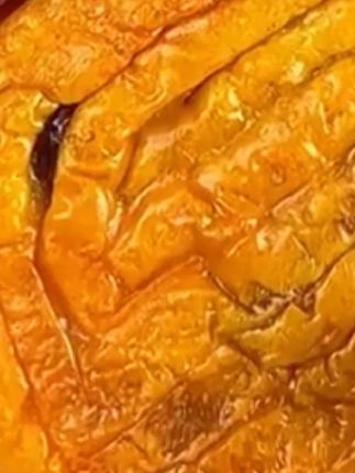 蛋月烧月饼#太香啦 #蛋月烧 #太好吃了