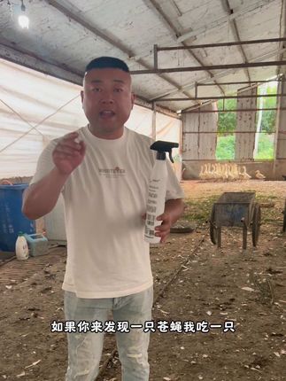 #鸡奶奶杀虫剂 不仅家里可以用,各种养殖场也可以 无色无味无任何刺激,喷一次管好几天,放心拍,放心用有运费险#灭苍蝇 #苍蝇蚊子一招搞定