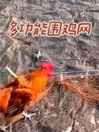 这个就是大家都在找的视频同款一套的户外多用途加粗围栏网、防护网、养殖网架,有了它之后再也不用担心家里的鸡鸭被偷了,只需要把它围起来就可以,平时也可以用来围花花草草,防止他们被踩坏压倒,还可以把小动物们放在里面,不用担心他们会跑掉。#好物推荐🔥 #多功能围鸡网