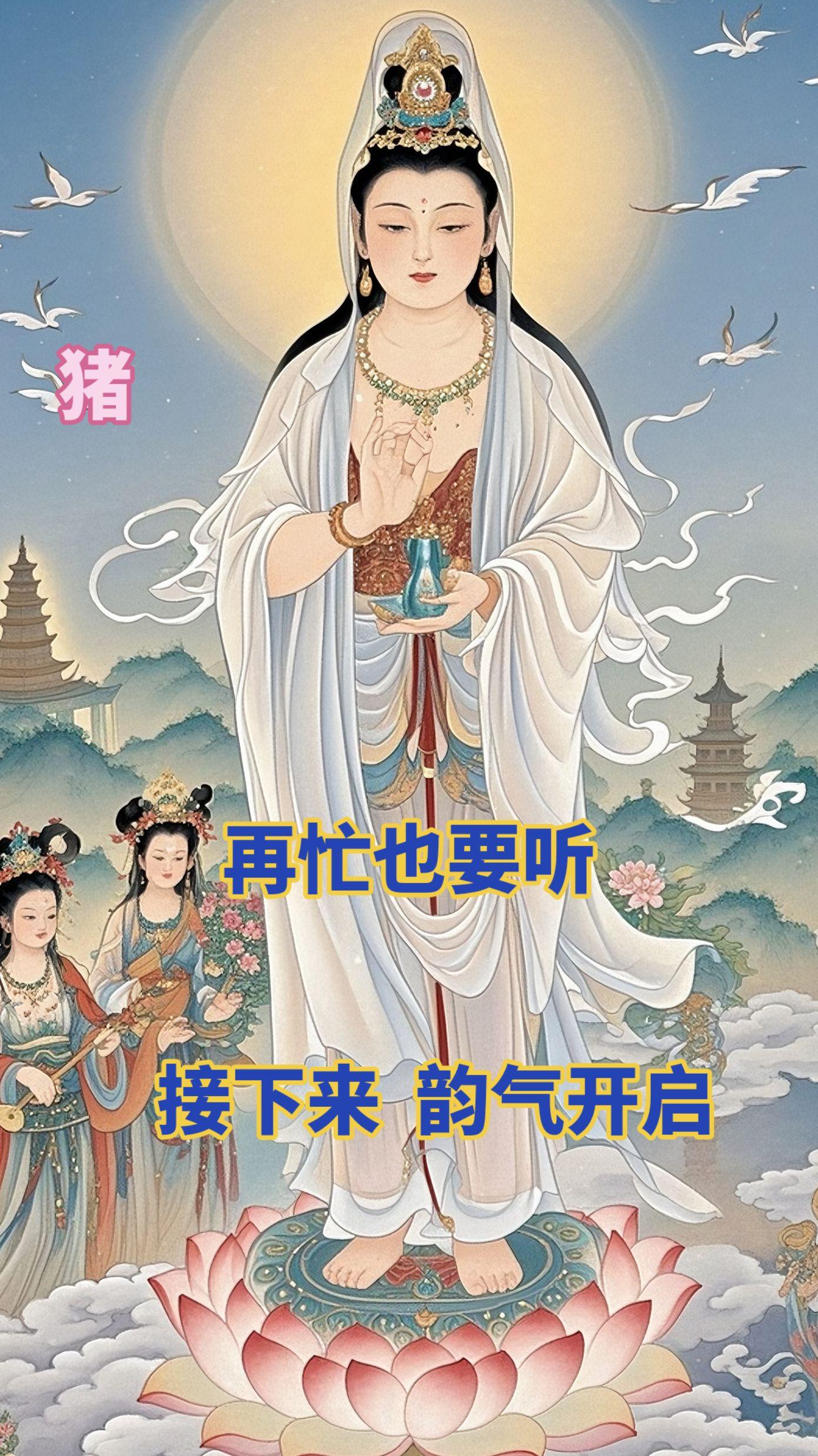 #71年的猪 #83年的猪 #95年的猪