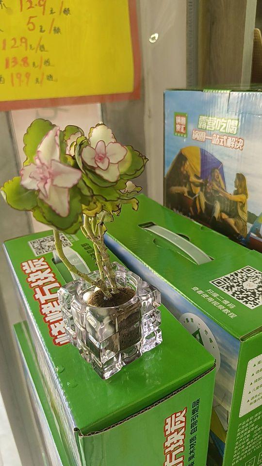 太小了物流包装可好 新鲜度:还可以#我在抖音买买买