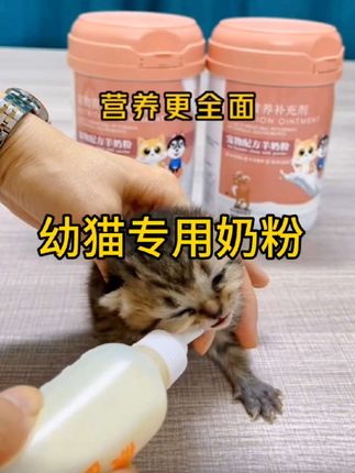 宠物幼猫奶粉小猫咪专用羊奶粉刚出生未满月猫崽断奶乳猫营养食品#幼猫专用羊奶粉@DOU+小助手 @巨量千川