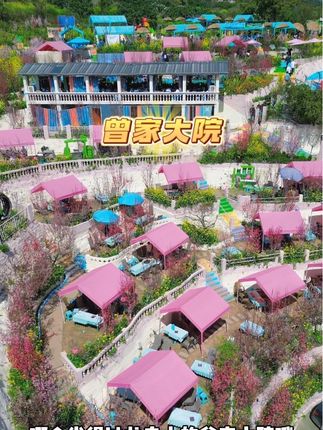 九十八一位! 烤全羊 烤乳猪 自助九斗碗 自助火盆烧烤都是免费随便吃!就这么划算的农家乐,看到了搞紧冲!#户外烧烤野炊 #周末去哪玩 #户外烧烤 #烤全羊 #烤乳猪