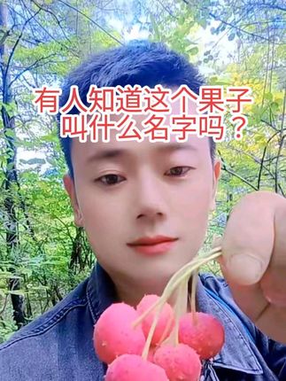 #野果子有认识的吗 小时候的快乐很简单, 一把野果也能高兴大半天,如今摘野果并不是为了吃,只是为了找回那份纯真快乐,回不去的曾经。#寻找大山里的好东西 #我的乡村生活