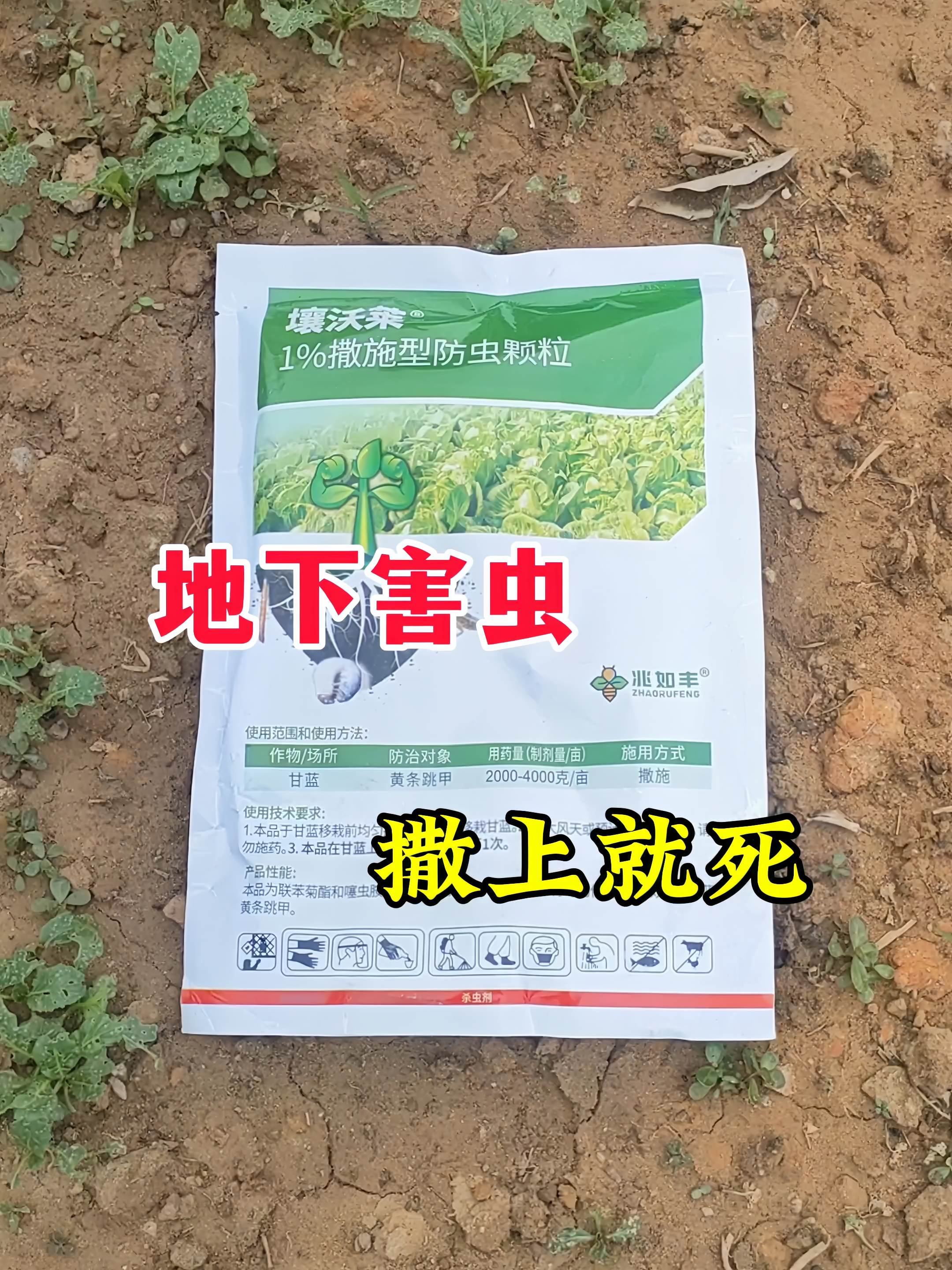#病虫害防治 #地下害虫 #地下害虫防治 #农业种植