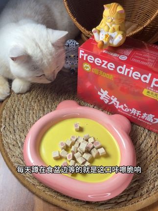 #喵知味#米粒#科学养宠攻略 #萌宠好物 #冻干 喵星人认证夹心冻干天花板