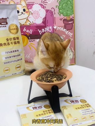 富含乳铁蛋白还添加生骨肉冻干的馋言觉醒猫粮!真的可以让你家猫咪试试哦!#养猫新手 #猫粮 #强烈推荐 #馋言觉醒 #生骨肉冻干猫粮