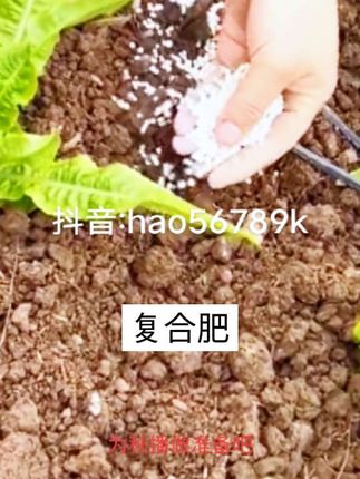 #创作灵感 # 复合肥蔬菜肥种菜果蔬园艺颗粒肥蔬菜有机肥料家用肥料园艺用品 # 复合肥 #蛋蛋集合好物 #种草