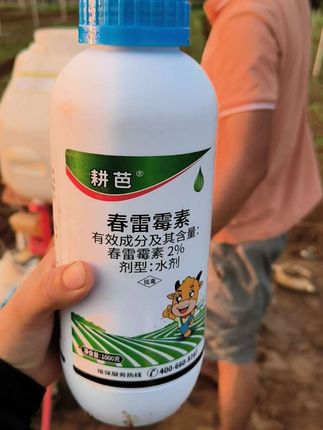 青菜从小就要预防,别看它现在长得好好就以为没事,等它染上病出现斑点了就来不及了😁。#杀菌剂 #农业种植 #记录真实生活