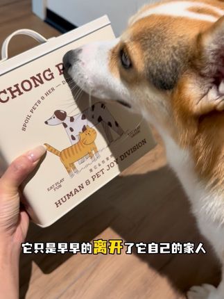 小狗不知道什么是过中秋节,他只会记得在这一天里我给他吃到了一个造型圆圆的,他平时吃不到的美味食物#养宠进阶指南 #宠物月饼 #好物推荐🔥 #科学养宠 #家有馋狗