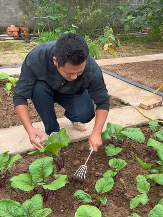 #家庭种植 #种菜小技巧 #不锈钢耙子 #园艺工具 #松土神器