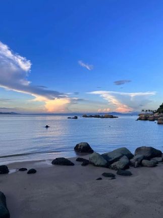 棉花糖的棉T恤真是每年必备了!关键这个价格还是A类100棉的真的太合适了!款式洋气百搭男女包都可以穿、趁有码赶紧安排吧#品牌童装 #萌娃穿搭 #春秋穿搭 #高品质童装 #长袖t恤