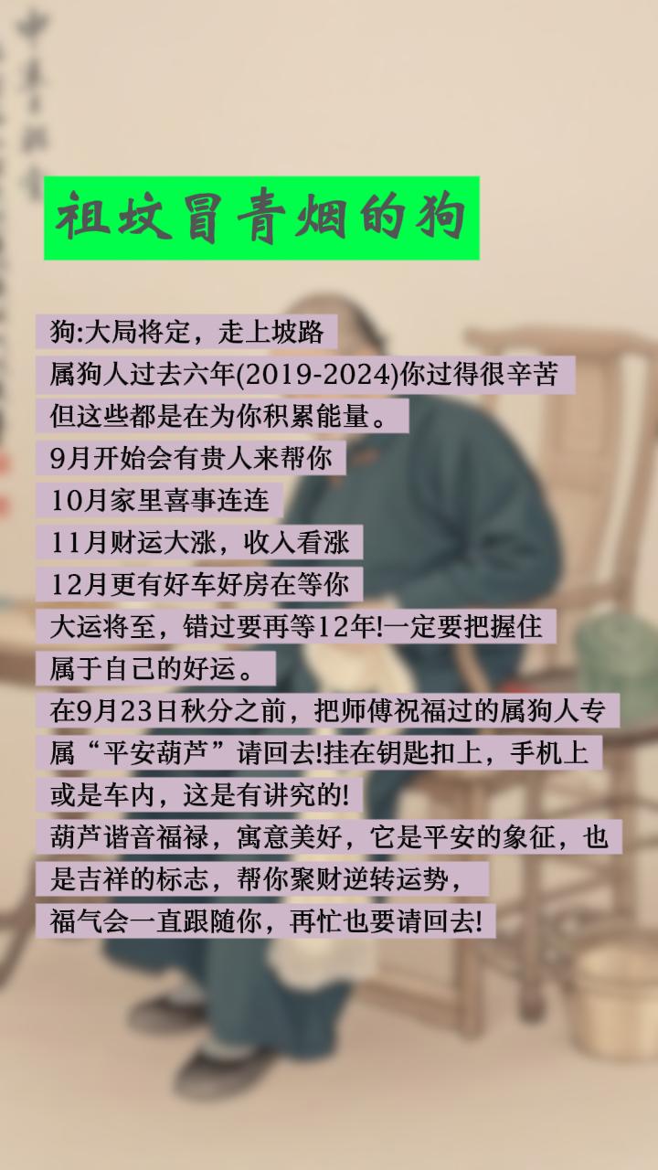 #70年的狗 #82年的狗 #94年属狗 #狗
