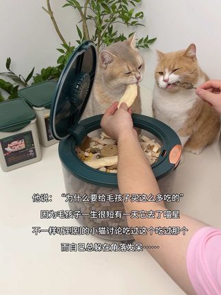 猫猫每天都在等我打猎回家,我怎么能让我的小猫失望~#萌宠好物 #冻干桶 #网易严选 #吃货猫