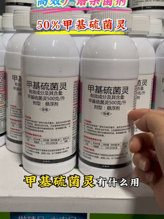 #农业种植 #杀菌剂 #甲基硫菌灵 #果园管理 #蔬菜种植