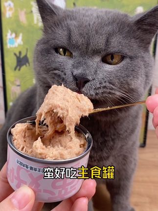 蛮果好看又好吃的蛮好吃主食罐!现在很划算,养猫人赶紧囤点给小猫尝尝!#萌宠好物 #吃货猫 #养猫人 #喂猫日记 #猫罐头