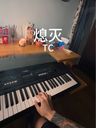 我心中的烈火已经熄灭 #熄灭 #TC #无声卡弹唱