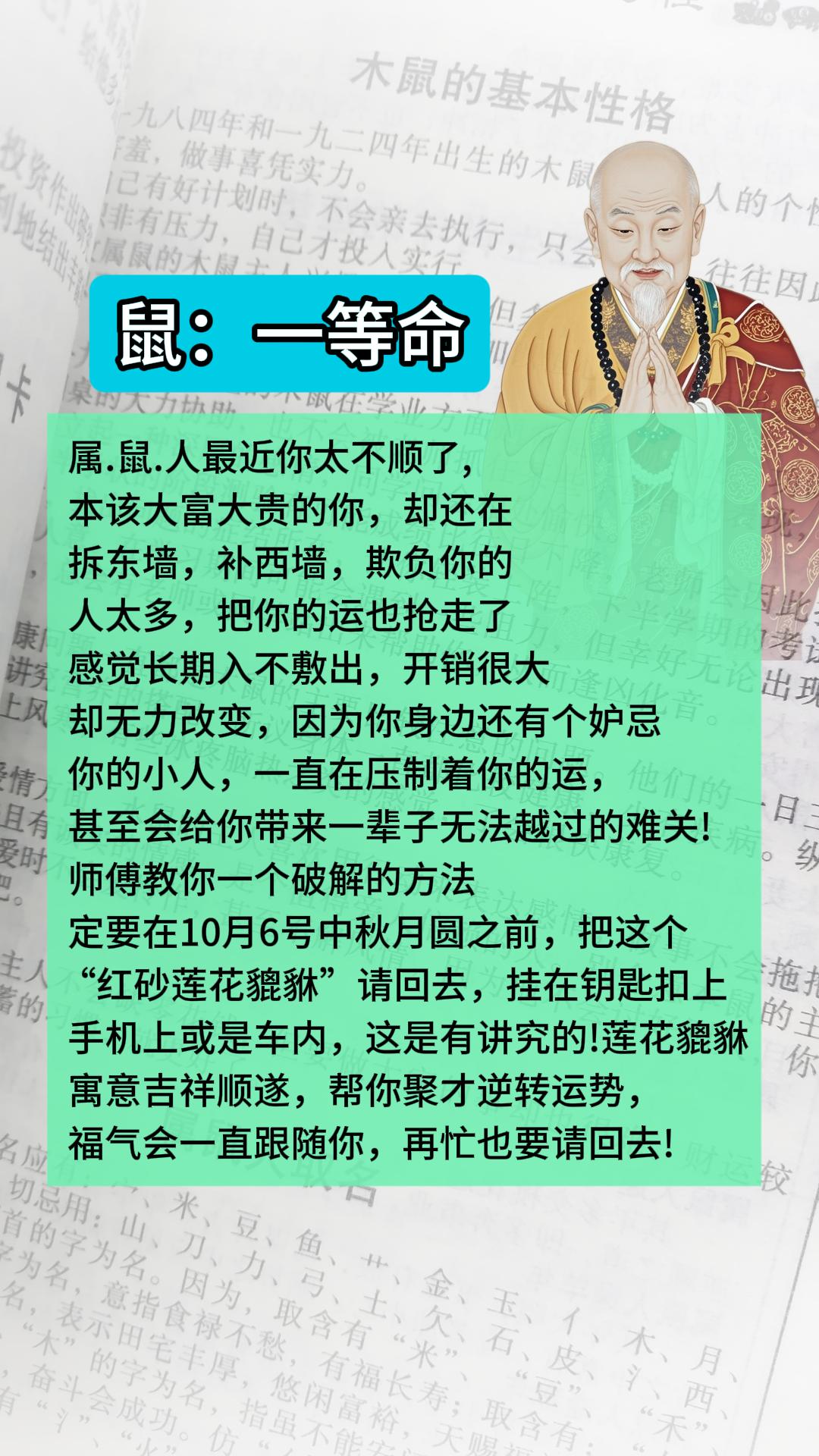#1960年的鼠 #1972年的鼠 #1984年的鼠 #1996年的鼠