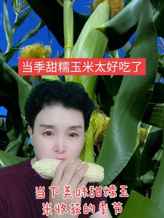 当下正是甜糯玉米收获的季节,价格优惠又新鲜好吃,关键吃了不会多长肉#快来一起尝个鲜 #香糯嫩玉米 #有机甜糯玉米 #强烈推荐