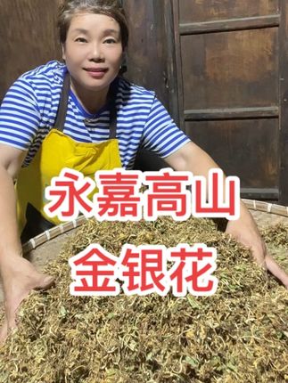 永嘉楠溪江金银花#乡村助农#金银花干