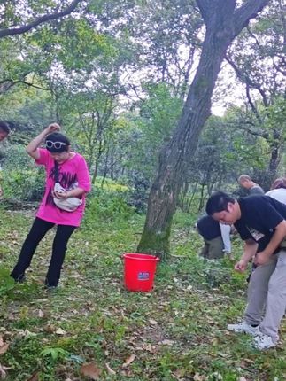 长大后节日的意义就是团圆#农村生活 #老家的风景 #从小长大的地方 #阳光8点袁班长