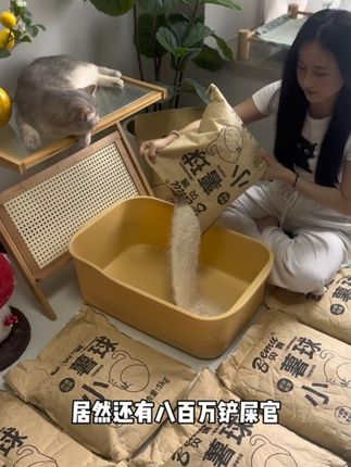 居然还有八百万养猫人不知道这个便宜又好用的木薯砂,一袋足足的10斤!不仅除臭,吸水快,结团好,还不易沾底,趁现在还有库存,赶紧薅!!#猫砂#猫砂推荐#木薯砂#猫砂测评 #养猫新手
