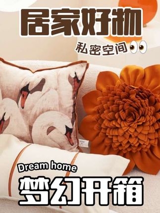 独特漂亮抱枕奇葩太阳花朵抱枕靠枕床头软包靠背沙发靠背垫护腰靠#抱枕#靠枕#轻奢家居#家居好物@DOU+小助手 @DOU+好生意