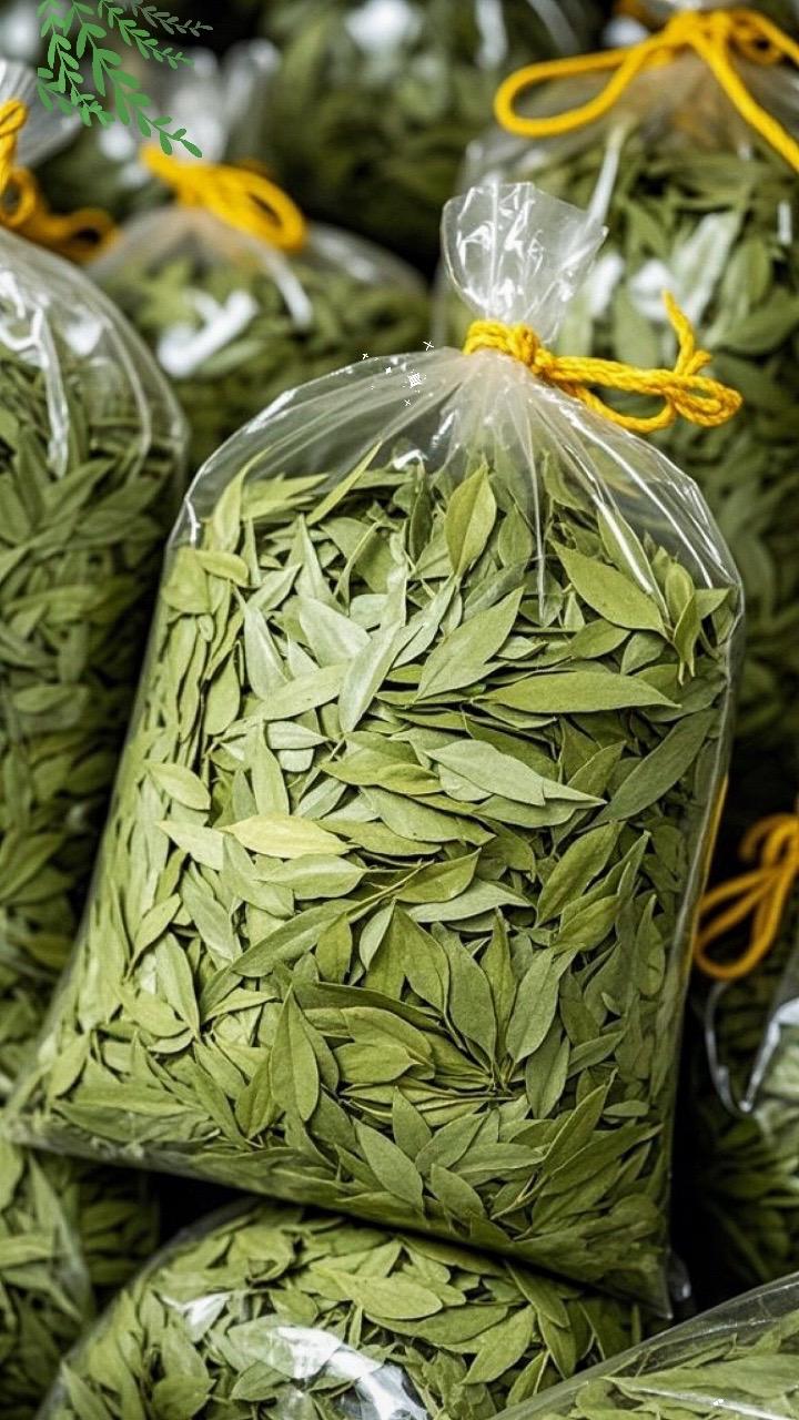 邂逅番泻叶,探寻自然的秘语~ 在植物的奇妙王国中,番泻叶宛如一位低调的隐士,静静散发着独特魅力。它的叶片修长而舒展,脉络清晰,如细腻的纹理诉说着岁月的故事。色泽鲜绿,恰似春日里最鲜嫩的新芽,透着蓬勃的生机。 当你轻轻触碰番泻叶,指尖传来的是它独特的质感,不粗糙也不娇弱,恰到好处的韧性让人感受到自然的巧妙雕琢。凑近细闻,那股淡淡的清香,瞬间将你带入充满阳光与泥土芬芳的田野。 番泻叶生长在温暖的角落,它是大自然的馈赠,承载着阳光雨露的恩泽。从采摘到晾晒,每一道工序都凝聚着匠人的心血。它以一种纯粹的姿态,等待着与人们相遇,成为生活中一抹别样的色彩,开启一段关于自然与美好的奇妙之旅。#每日一茶#茶#好物推荐🔥#番泻叶